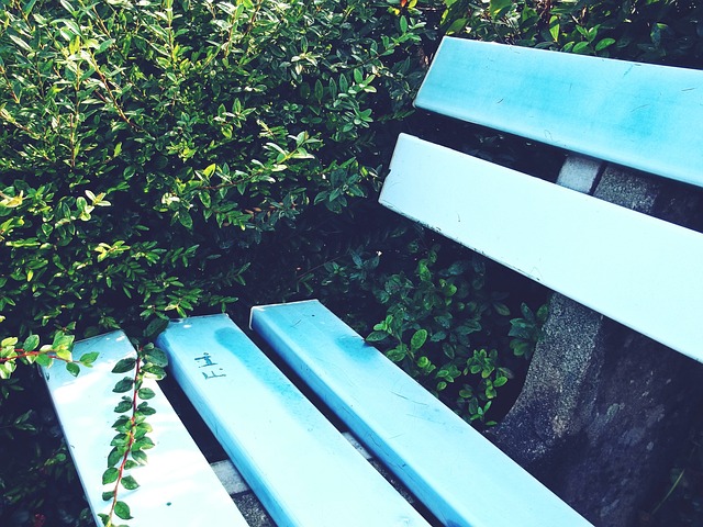 与尼克斯的 与尼克斯的