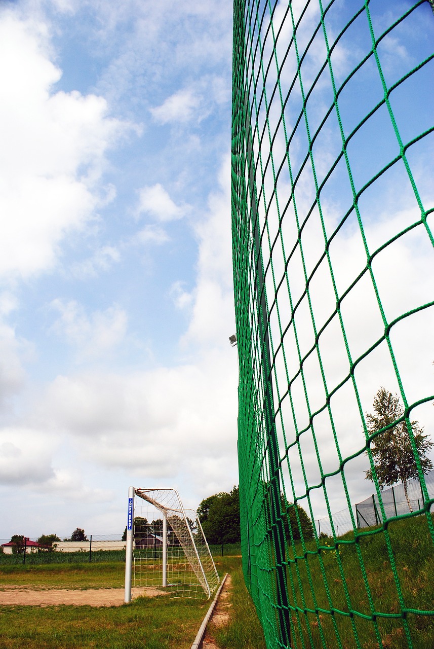 这些精美的 这些精美的