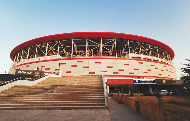 的意大利车 的意大利车