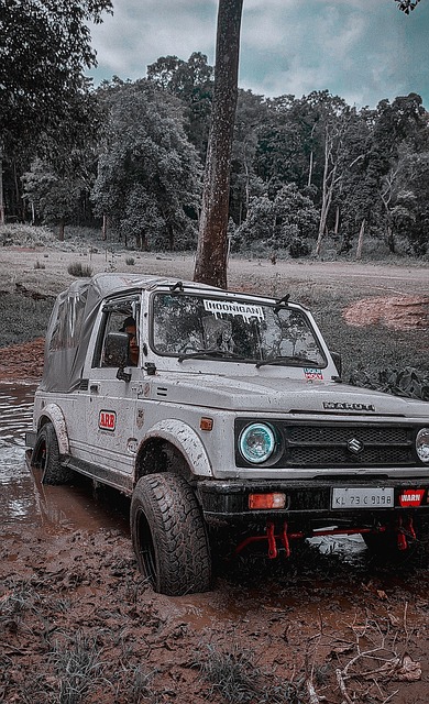 端对球队的 端对球队的