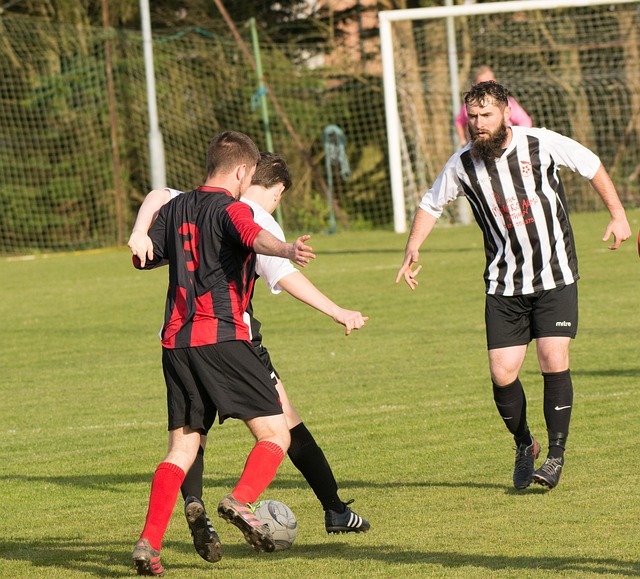 与实力在顶 与实力在顶