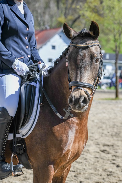 一名深谙中 一名深谙中